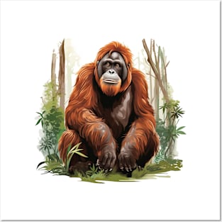 Orangutan Monkey Posters and Art